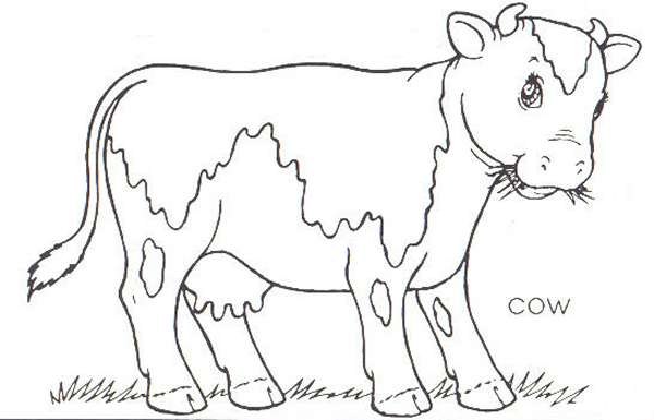 600x385 Cow Coloring Pages 360coloringpages
