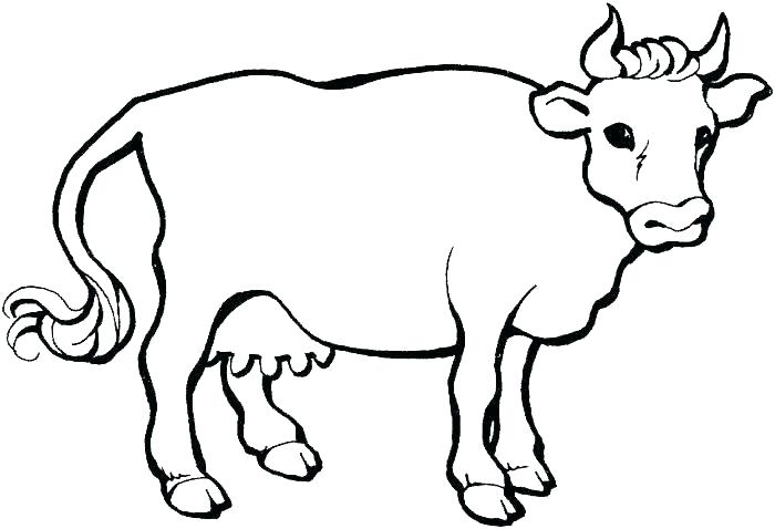 700x478 Cute Cow Coloring Pages Cute Cow Coloring Pages Outlined Doodle