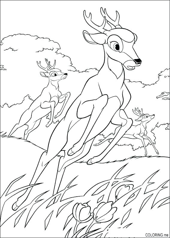 567x794 Baby Deer Coloring Pages Deer Coloring Pages Coloring Pages