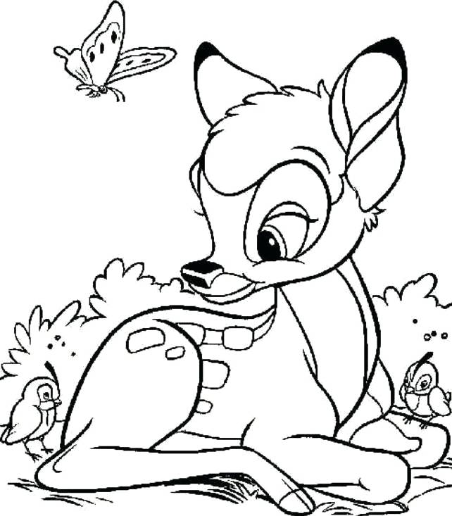 642x733 Deer Coloring Pages Head Outline Page Murs