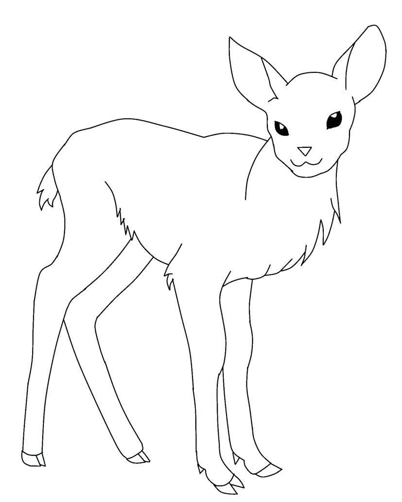 827x1032 Coloring Pages ~ Deer Coloring Pages Baby Sheets Deer Coloring