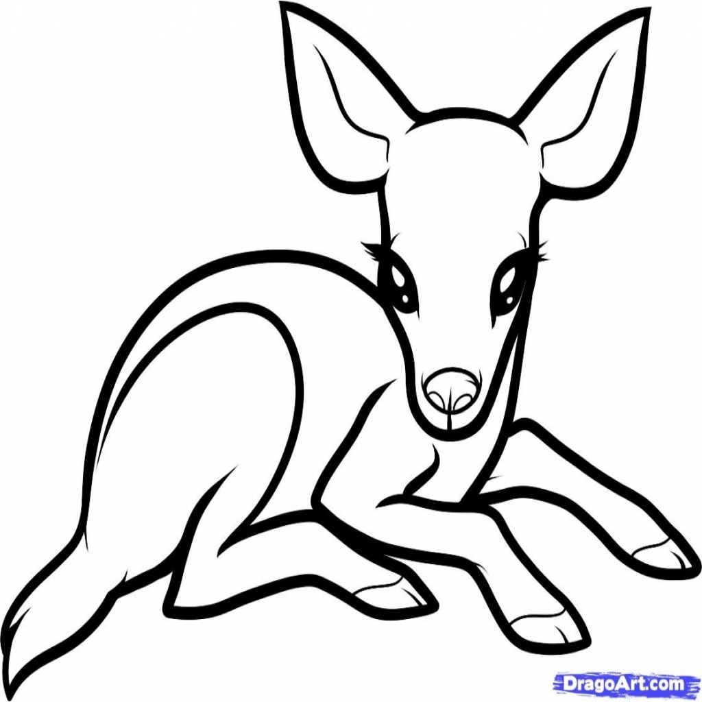 1024x1024 Awesome Cute Ba Animal Drawings 17 About Deer Free