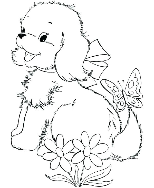 600x734 Coloring Pages Cats And Dogs Cats And Dogs Coloring Pages Coloring