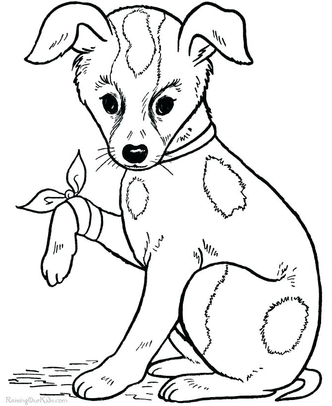 670x820 Cute Dog Coloring Pages Dog Coloring Pictures Big Coloring Pages