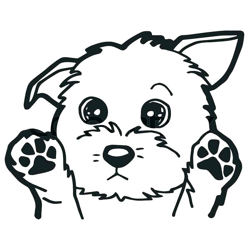 800x800 Dogs Coloring Page Dog Coloring Page Cartoon Dog Coloring Pages