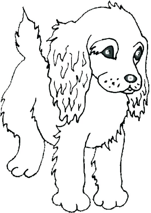 527x742 Coloring Pages Of Cute Dogs Boo The Worlds Cutest Dog Coloring