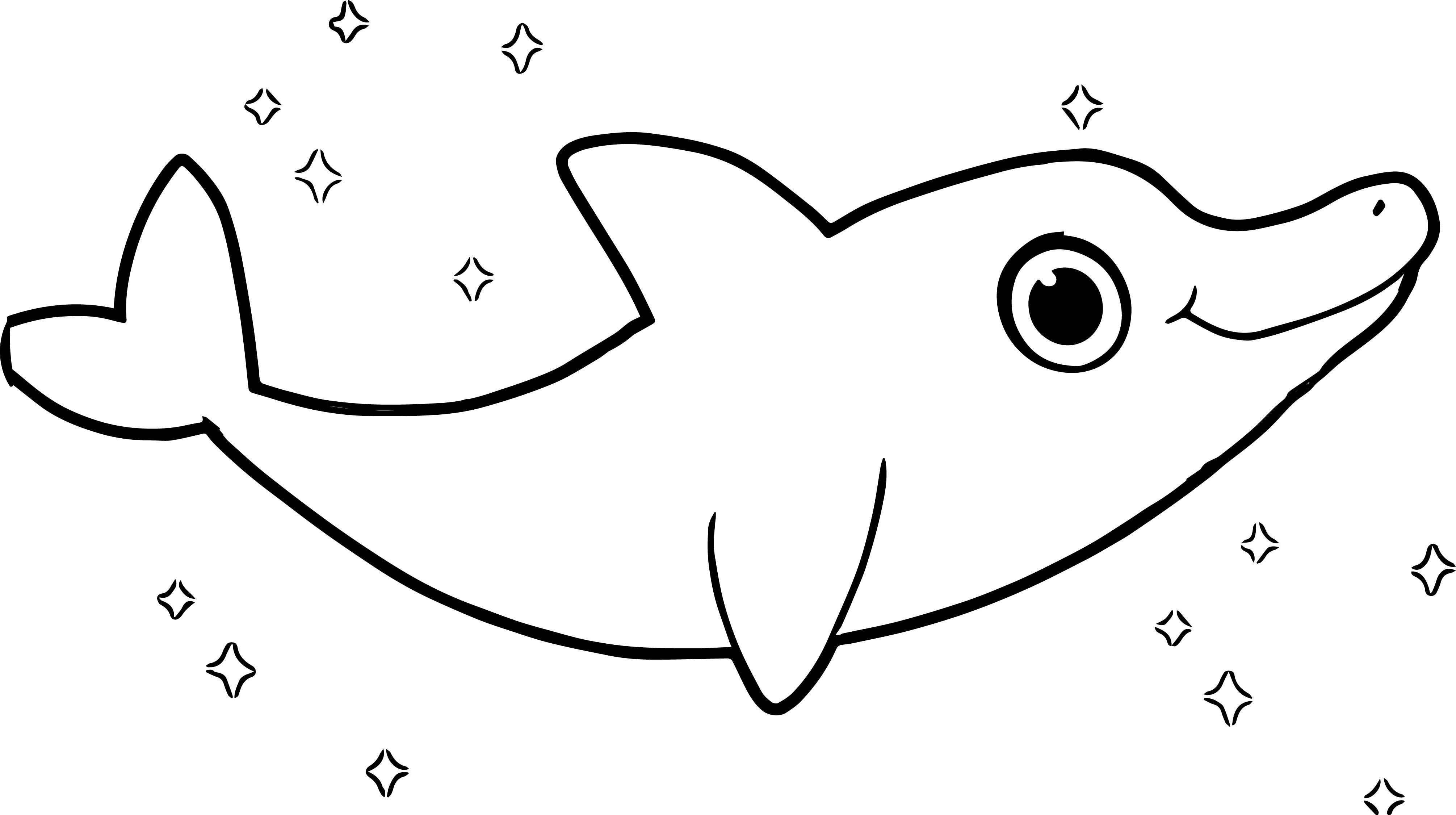 4021x2250 Printable Dolphin Coloring Pages For Kids Coloringstar Within