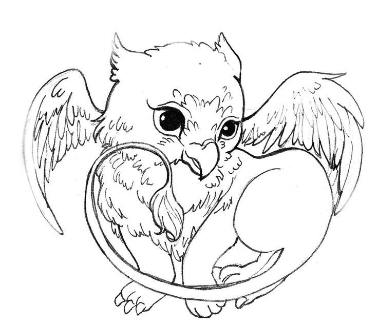 736x638 Cute Dragon Coloring Pages