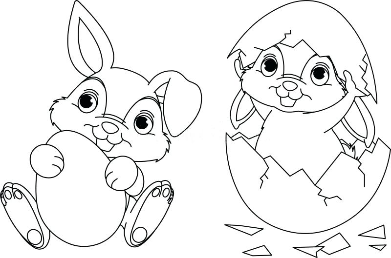 800x529 Bunny Coloring Page Download Bunny Coloring Page Stock Vector