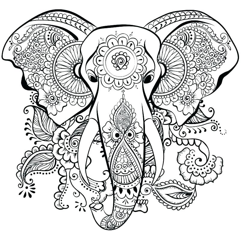 805x806 Cute Elephant Coloring Pages S S S S Cute Baby Elephant Coloring