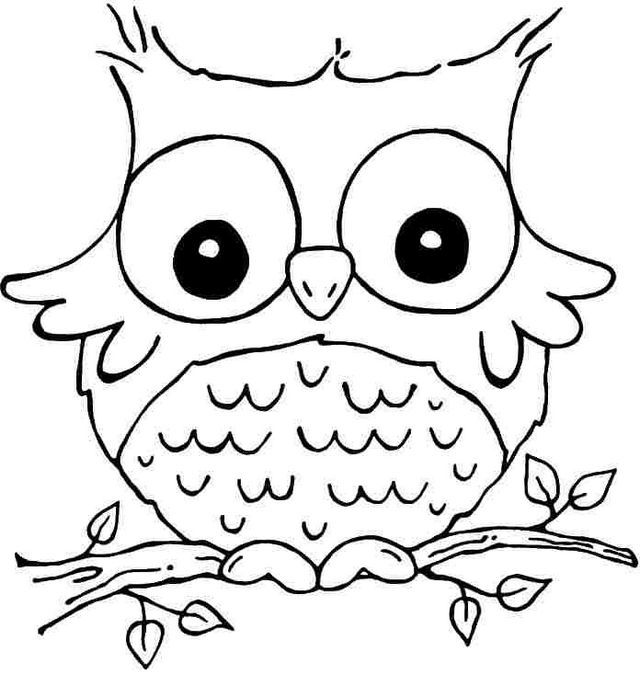640x675 Cute Animal Coloring Pages For Girls With Big Eyes Colouring