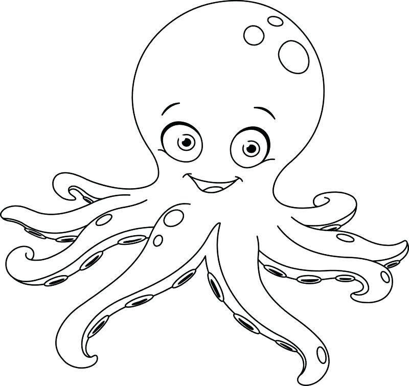 800x755 Starfish Coloring Pages Elephant And Coloring Pages Slippery Fish