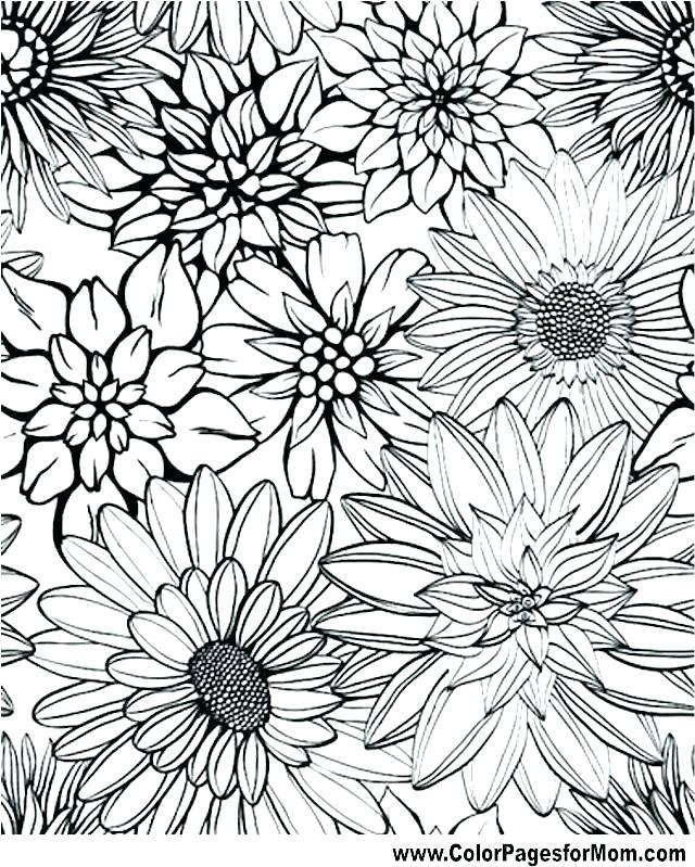Cute Flower Coloring Pages