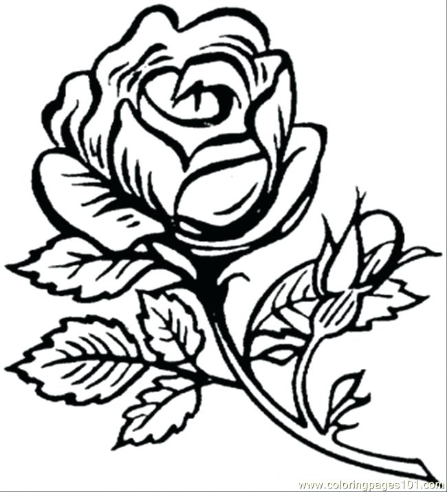 650x715 Cute Flower Coloring Pages Pretty Flower Coloring Pages Flower