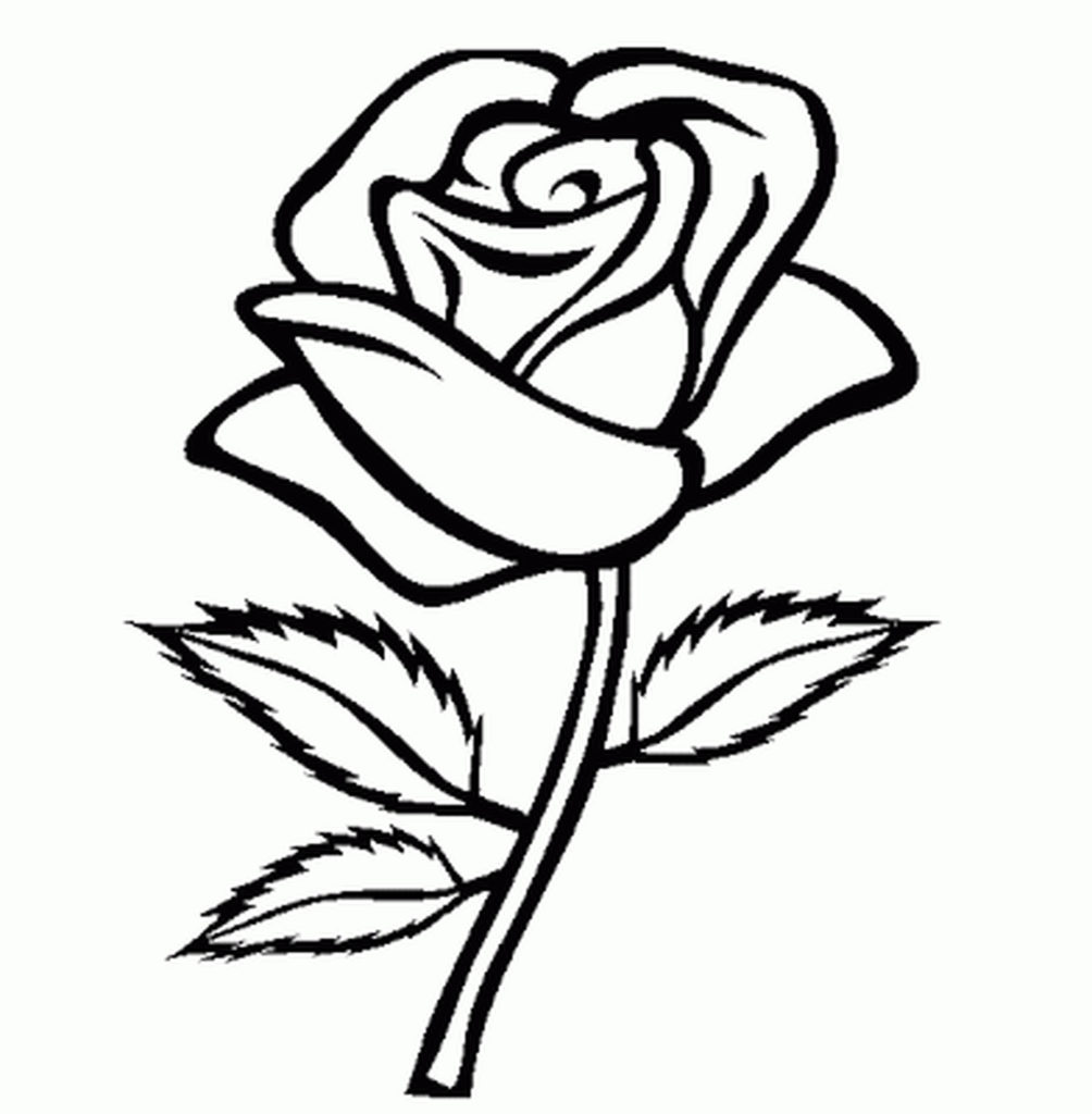 1004x1024 Unsurpassed Flowers Outlines For Colouring New Flower Color Page 1