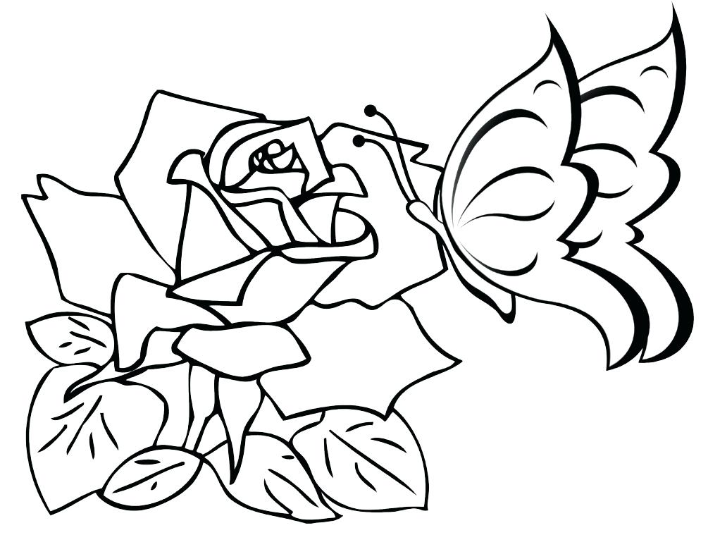 1005x759 Cute Flower Coloring Pages Beautiful Coloring Pages Coloring Pages