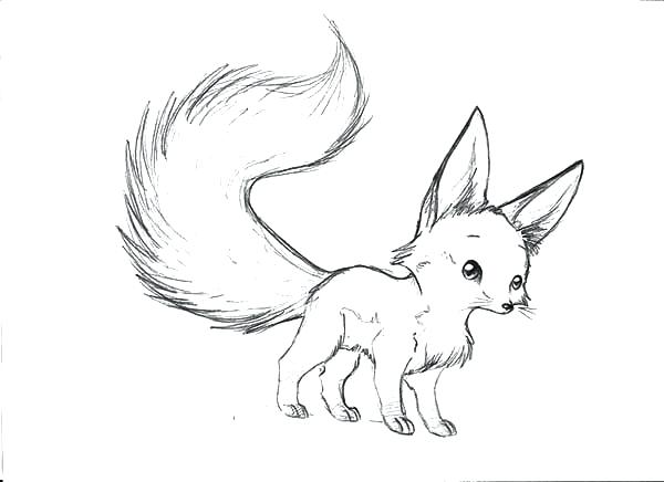 600x436 Baby Fox Coloring Pages Fox Coloring Pages To Print Baby Fox
