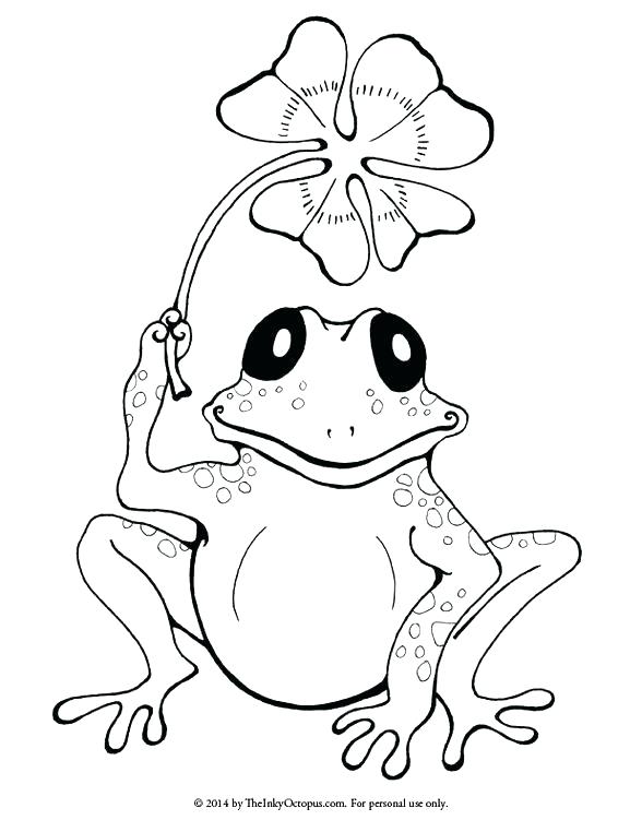 588x762 Coloring Pages Frogs Coloring Pages Of Cute Frogs