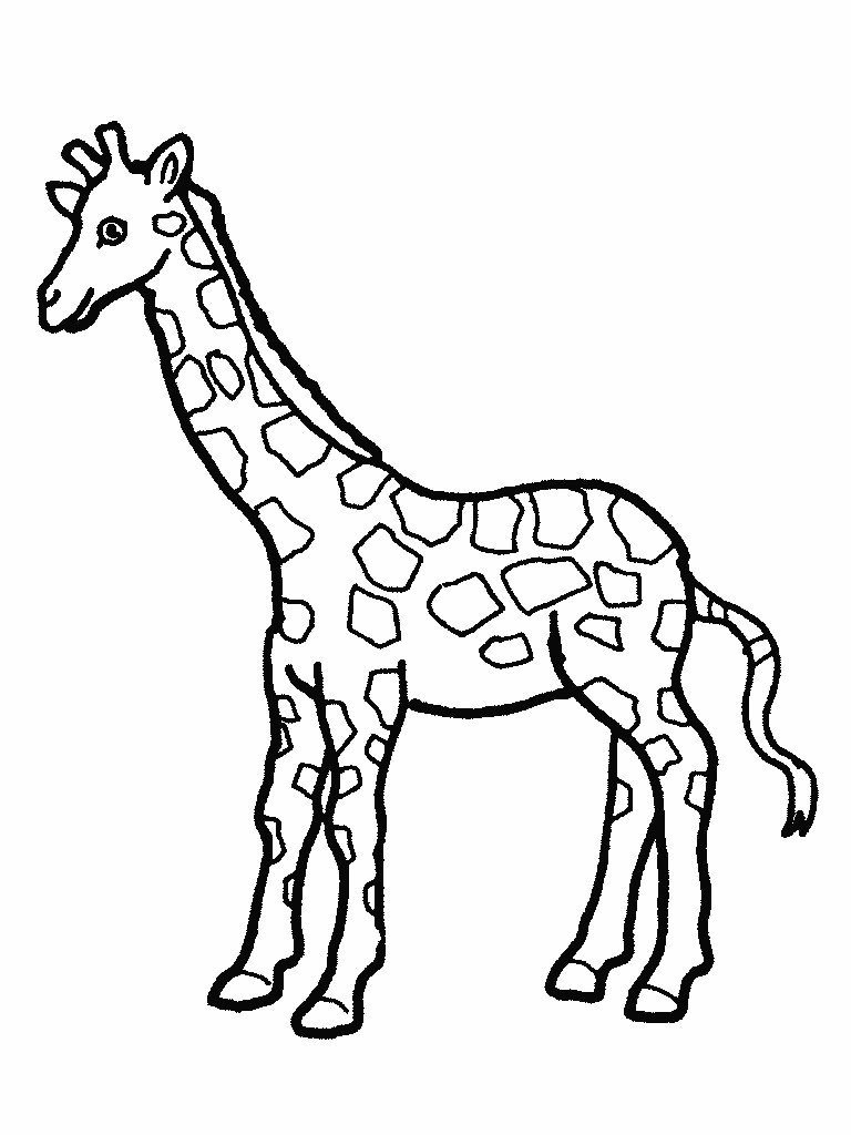768x1024 Cute Giraffe Coloring Pages Wagashiya