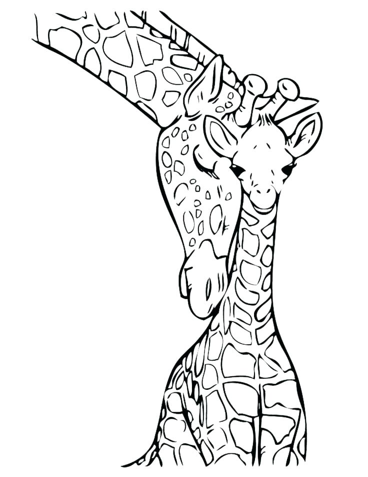 736x952 Giraffe Color Pages Giraffe Color Page Cute Giraffe Coloring Pages