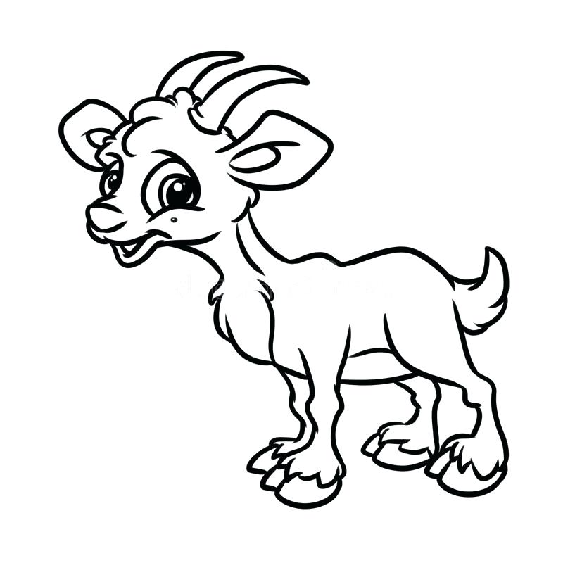 800x800 Free Cute Goat Coloring Pages Free Cute Goat Printable Goat