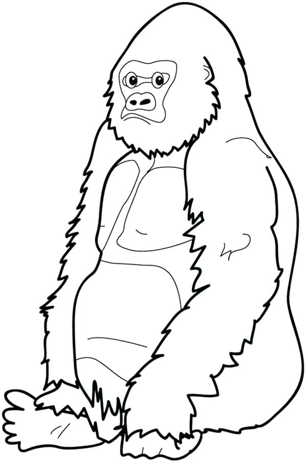 600x904 Gorilla Coloring Pages Brown Bear Coloring Sheet Gorilla Coloring