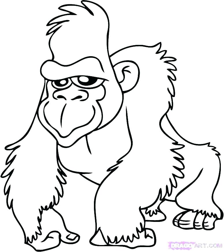 775x870 Gorilla Coloring Pages Gorilla Coloring Pages The Gorilla Funny