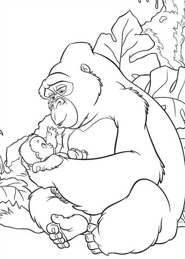 600x840 Gorilla Taking Care Of Human Baby Coloring Page Free Amp Printable