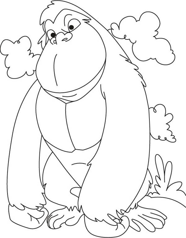 600x766 Nice And Cute Gorilla Coloring Pages Template And Images