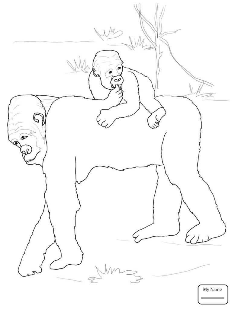 768x1024 Tarzan Coloring Page Good Babya Pages Printable Animals Size Cute