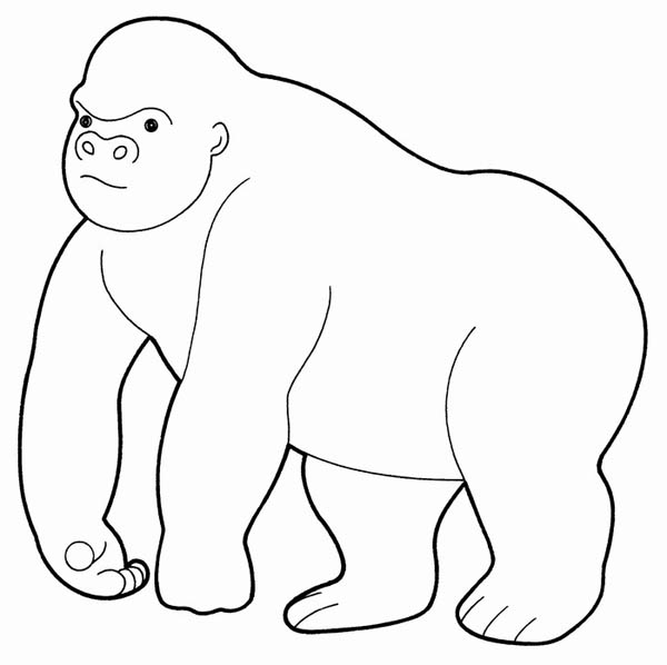 600x598 Giant Gorilla Coloring Page