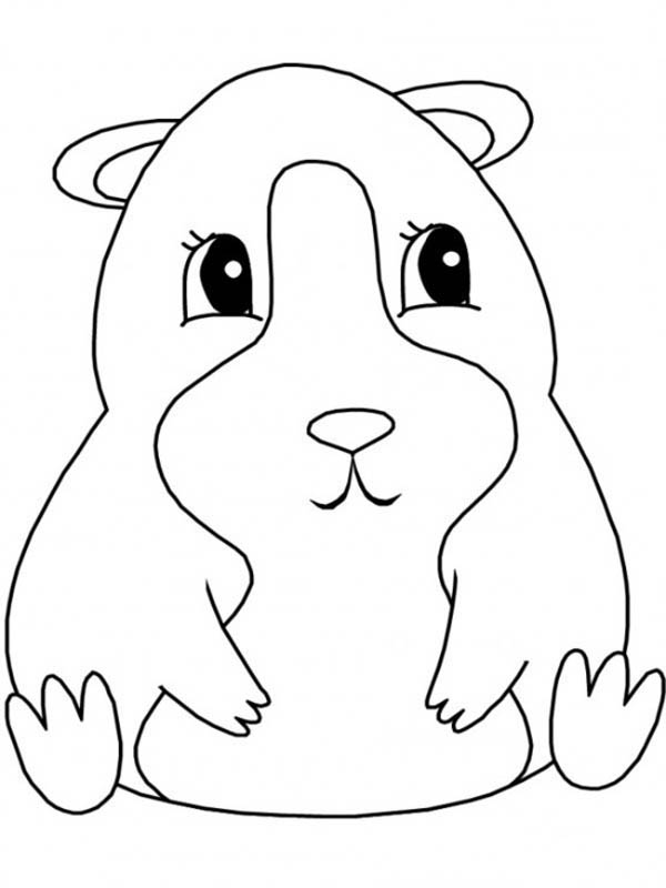 600x800 Guinea Pig, Guinea Pig Sitting Coloring Page Quilters Way