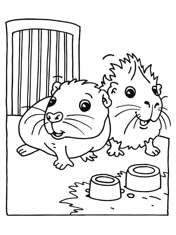 600x800 Guinea Pig Coloring Page Cute Baby Guinea Pig Coloring Page Guinea