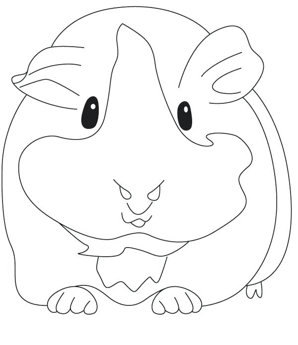 600x695 Guinea Pig Coloring Pages Baby Pig Coloring Pages Smiling Pig
