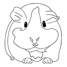 230x230 Top 25 Free Printable Guinea Pig Coloring Pages Online Stickurz