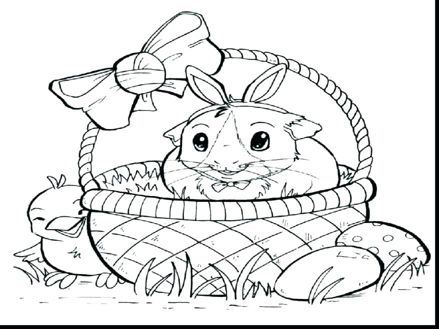 878x658 Cute Baby Pig Coloring Pages A Cute Sandy The Hamster Coloring