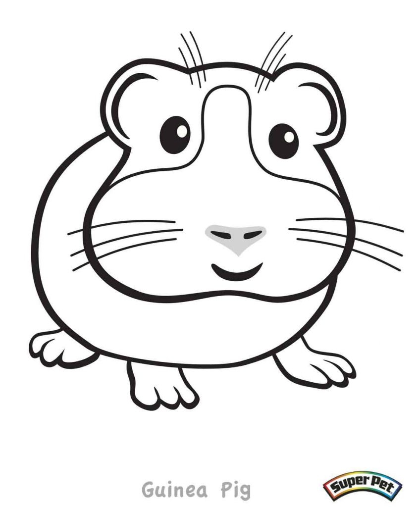 848x1024 Cute Guinea Pig Coloring Pages Free Coloring For Kids 2018
