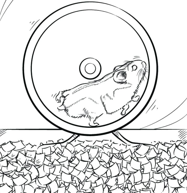 712x737 Hamster Coloring Page Download The Hamster Coloring Page Here Cute