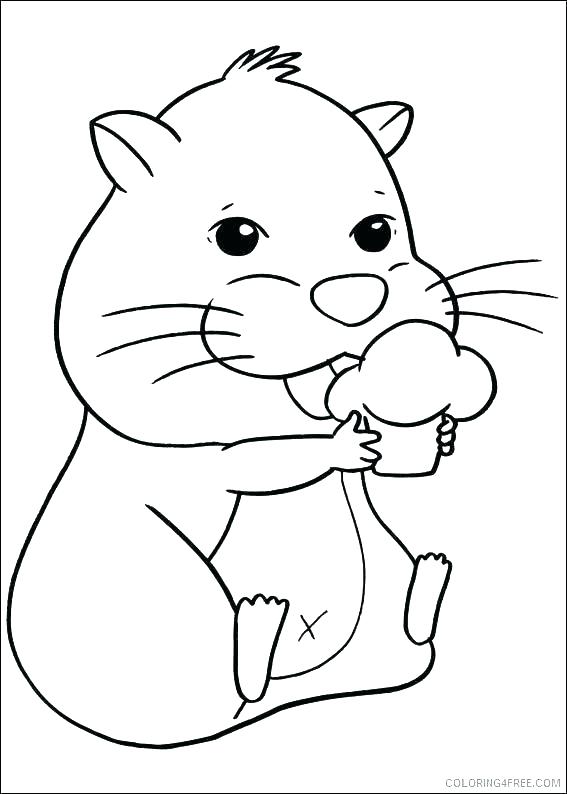567x794 Hamster Coloring Pages Cute Hamster Coloring Pages Pet Hamster
