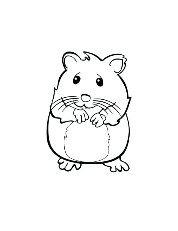 600x776 Hamster Coloring Pages Dwarf Hamster Coloring Pages Hamster