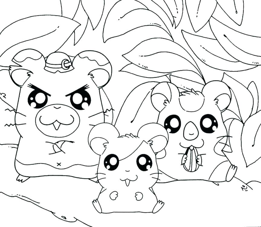 863x749 Printable Hamster Pictures Hamster Coloring Pages Trio Hamsters