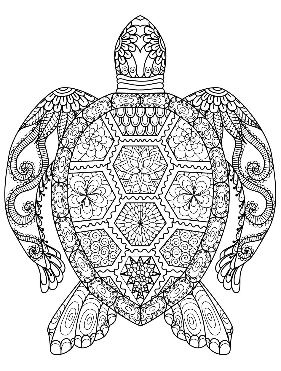 948x1251 Cute Hard Coloring Pages Copy Owl For Adults Printable Kids