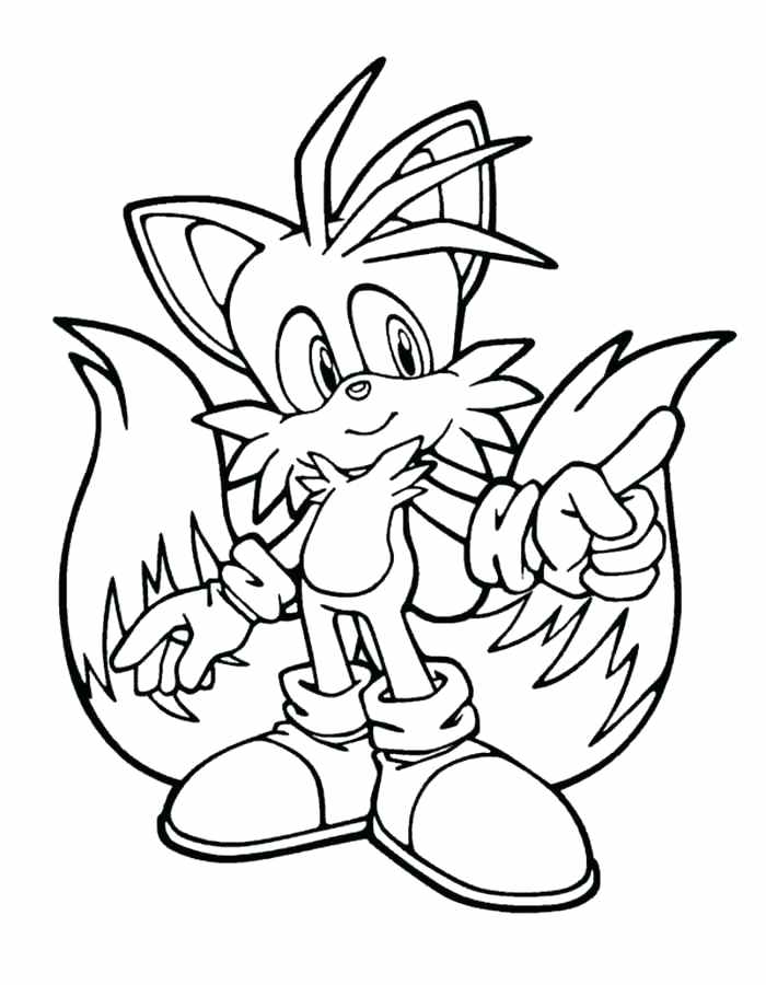 700x900 Hedgehog Coloring Pages Coloring Pages Animals Hedgehog Shadow