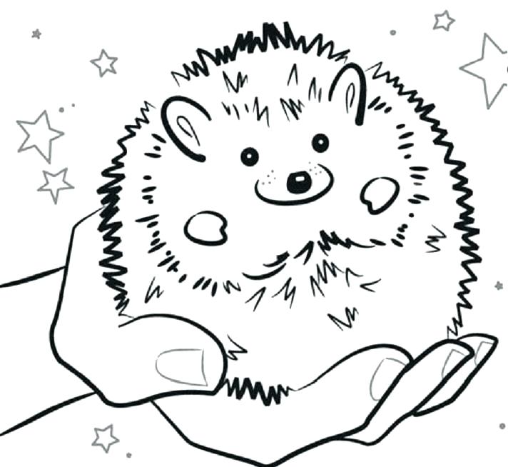 712x654 Hedgehog Coloring Pages Hedgehog Coloring Page With Hedgehog