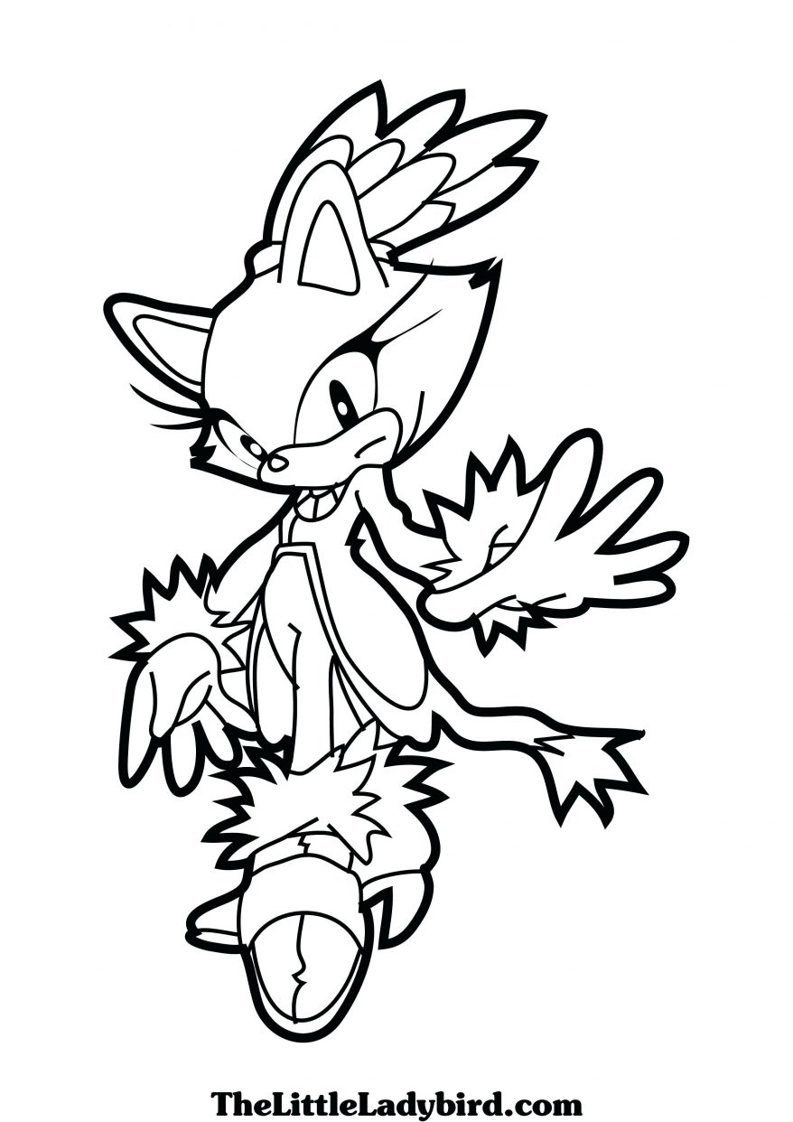 878x1242 Silver The Hedgehog Coloring Pages Funycoloring Brilliant