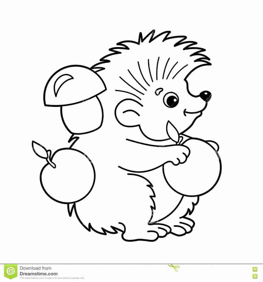 863x923 Cute European Hedgehog Coloring Page Dentist In Rudolph The Red