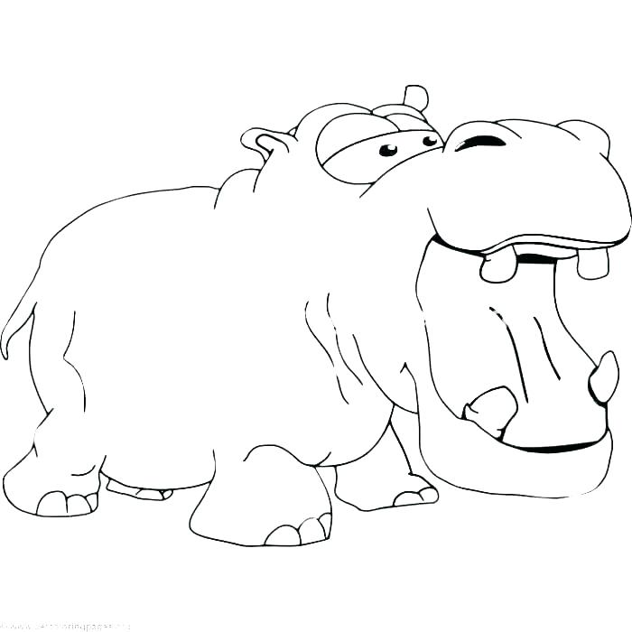 700x700 Hippo Coloring Page Cute Baby Hippo Coloring Pages Singular Page