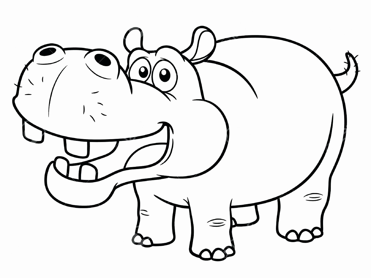 1300x975 Cartoon Picture A Hippo Az Coloring Pages Cute Hippo Coloring