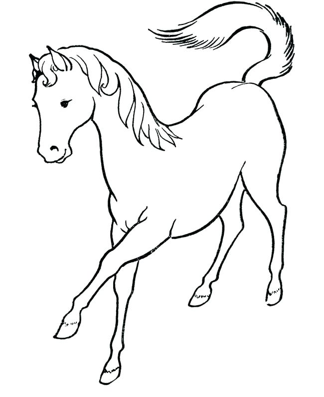 650x796 Baby Horse Coloring Pages Cute Horse Coloring Pages Cute Horse