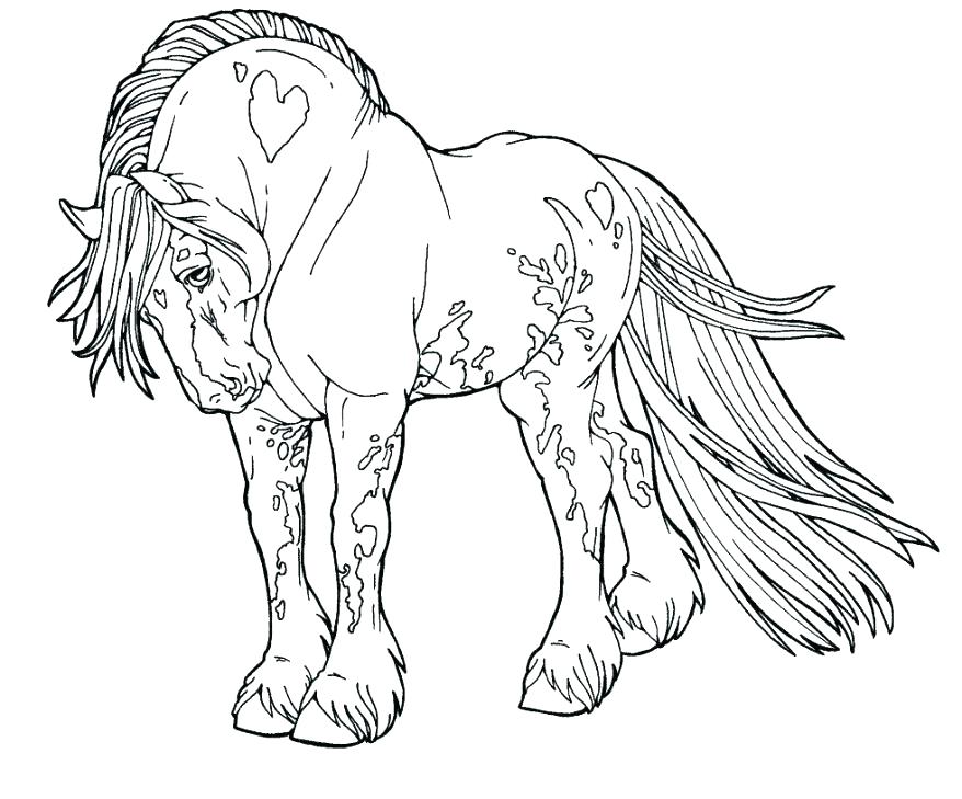 878x729 Free Printable Horse Coloring Pages Cute Horse Coloring Pages Free